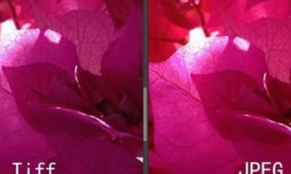 图形图像文件格式,常见的图像文件格式有哪些?都有哪些特点?图2