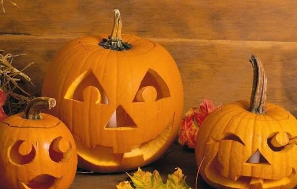 万圣节的由来和传说,万圣节的由来是什么视频图3