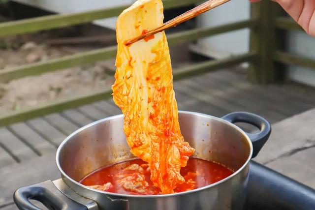 什么火锅底料最好吃清汤（11种小众火锅汤底料）(8)