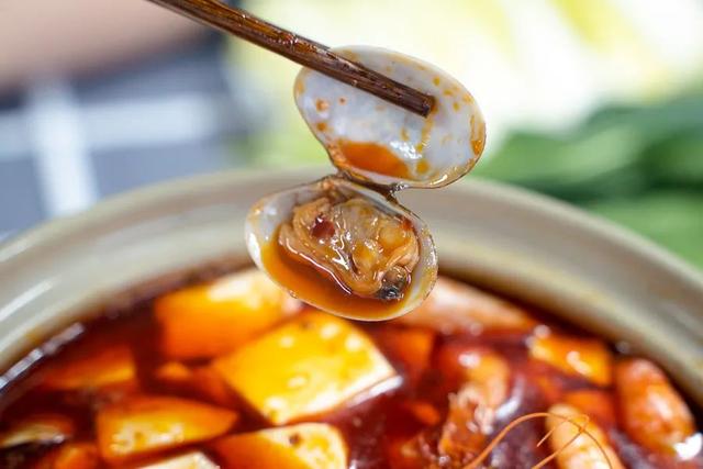 什么火锅底料最好吃清汤（11种小众火锅汤底料）(64)