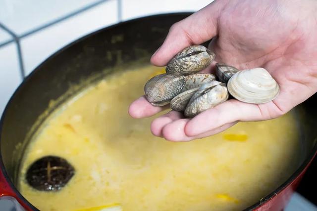 什么火锅底料最好吃清汤（11种小众火锅汤底料）(47)