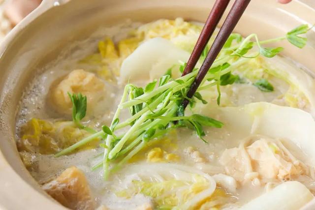 什么火锅底料最好吃清汤（11种小众火锅汤底料）(30)