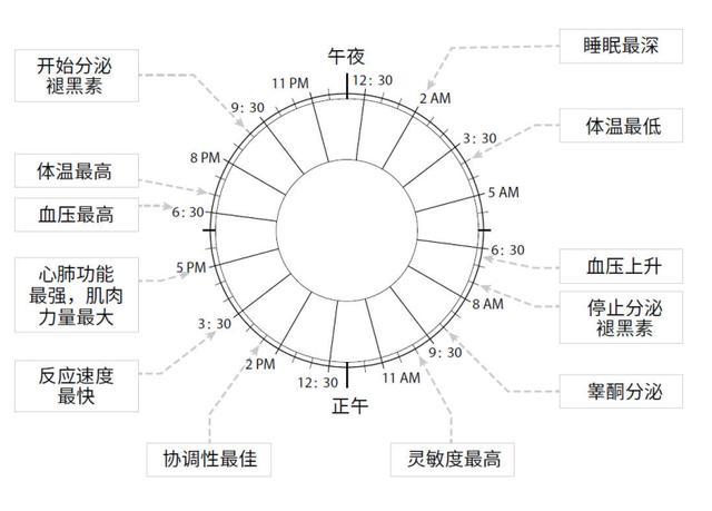 青少年睡眠时间合理建议（解决青少年睡眠问题）(4)