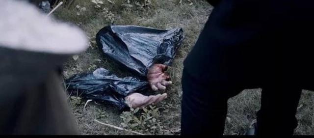 白夜追凶最深度解析（白夜追凶完结了）(8)