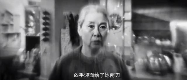 白夜追凶最深度解析（白夜追凶完结了）(13)