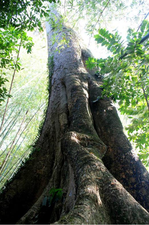 杀破狼2在国外引起的轰动（血清解毒一箭毙命）(6)