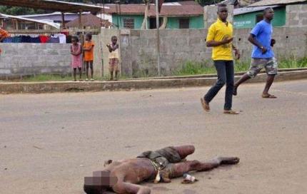 杀破狼2在国外引起的轰动（血清解毒一箭毙命）(4)