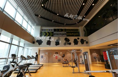 成都有哪些游戏公司（曾经有多大1000多家游戏公司的城市）(8)