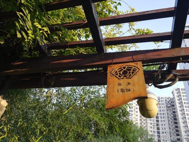 荣耀畅玩7x最新评测（千元全面屏标杆荣耀畅玩7X轻体验）(39)