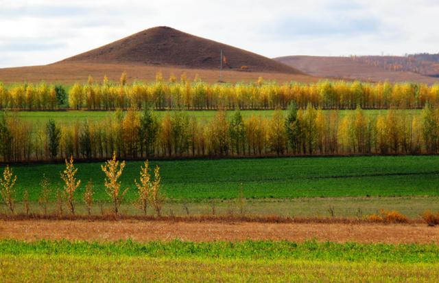 一般桃树的栽培与管理（2大招教你如何进行操作）(5)