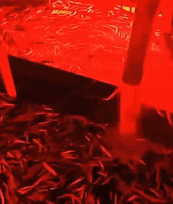 最近舟山天空变成了血红色（超级血月接踵而来）(3)