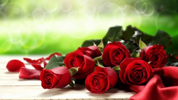 几朵玫瑰代表什么,玫瑰几朵代表含义是什么情人节用数字图4