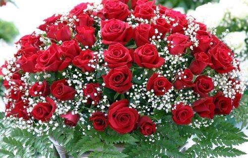 几朵玫瑰代表什么,玫瑰几朵代表含义是什么情人节用数字图2