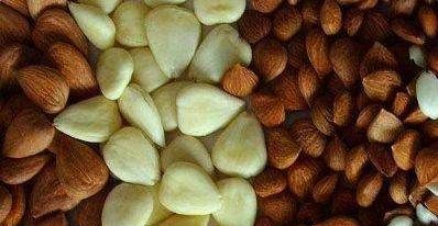 杏仁怎么去皮,南杏仁要不要脱皮图5