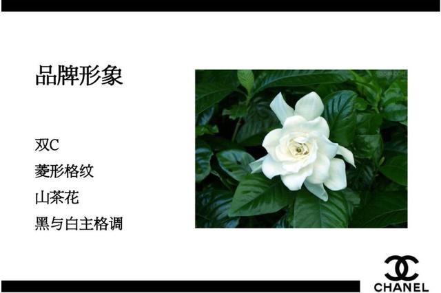 香奈儿品牌理念（香奈儿de品牌故事）(5)