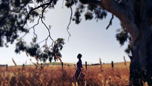 裴多菲最著名的抒情诗(重温经典诗歌裴多菲)(5)