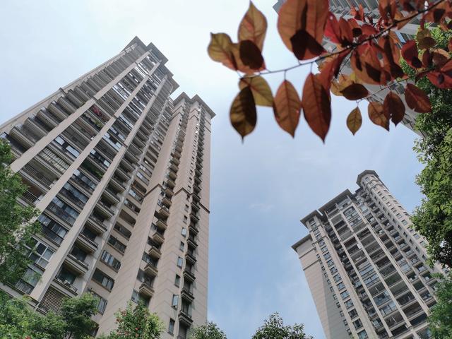 荣耀新旗舰x10(超能5G旗舰荣耀X10)(10)