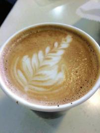 你知道不知道澳大利亚的袋鼠(澳洲葡萄园主说)(3)