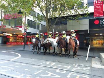 你知道不知道澳大利亚的袋鼠(澳洲葡萄园主说)(1)
