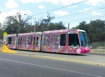 你知道不知道澳大利亚的袋鼠(澳洲葡萄园主说)(5)