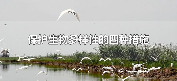保护生物多样性的四种措施 保护生物多样性的四种措施