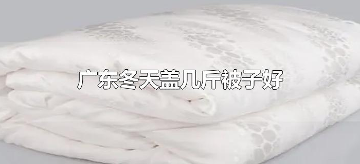 广东冬天盖几斤被子好 广东冬天盖几斤被子好