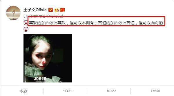 王子文节目中说自己单身（46岁生日前被爆离婚）(12)