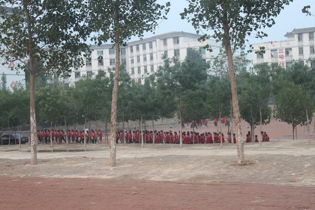 河南登封嵩山武校（走进武术之乡登封）(19)