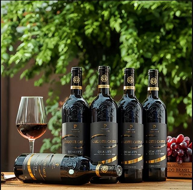 法兰西三个共和国（法国高贵之现状）(4)