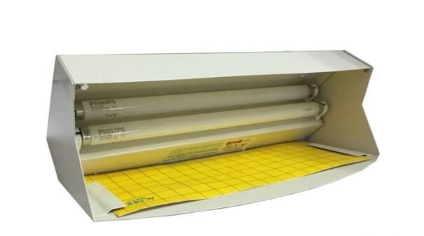 灭蚊子，有什么方法可以彻底消灭蚊子？图4