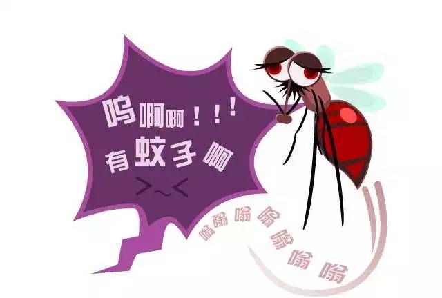 消灭蚊子最有效的方法