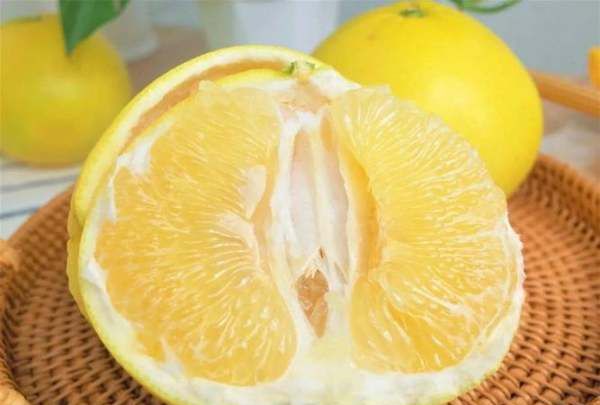 怎么挑选葡萄柚,教你七个方法挑选柚子皮图6