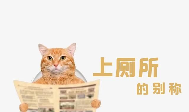 "上号"为什么说是上厕所有什么来历