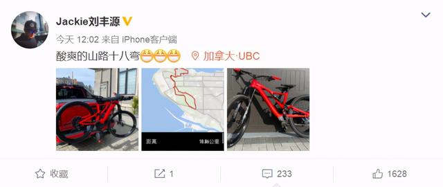 王子文刘丰源现状（网传演员刘丰源是王子文儿子生父）(6)