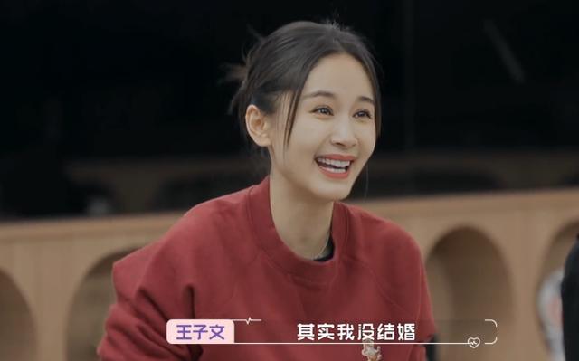王子文刘丰源现状（网传演员刘丰源是王子文儿子生父）(5)