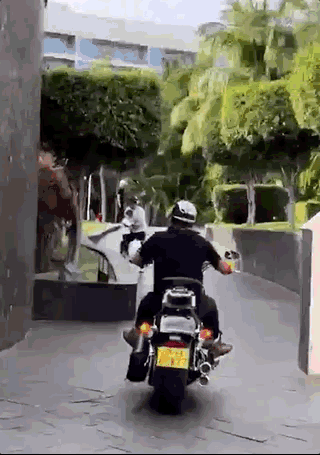 撒贝宁老婆出生日期（加拿大老婆身价千万）(13)