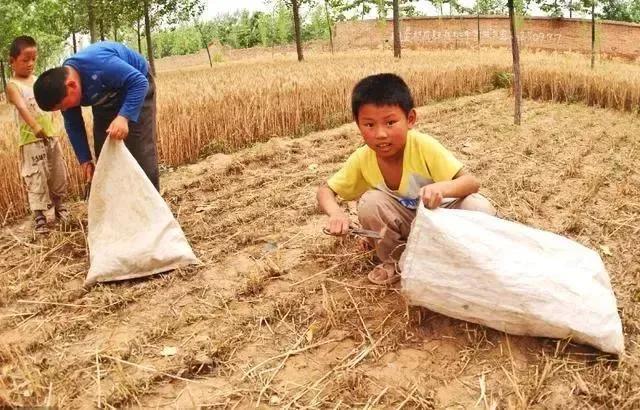 十首写夏天的古诗（五首咏夏天美景的古诗欣赏）(4)