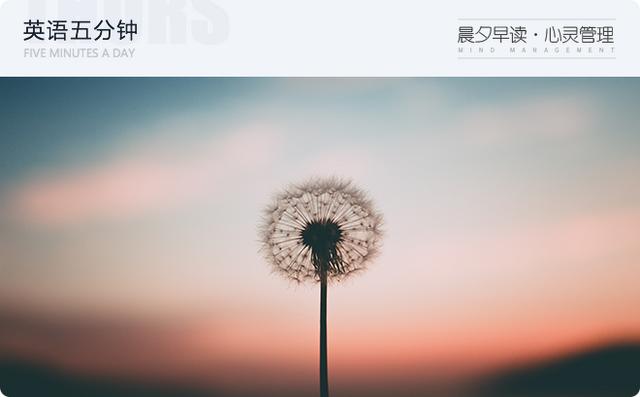 什么叫好奇心会害死猫（好奇心害死猫的后半句）(3)