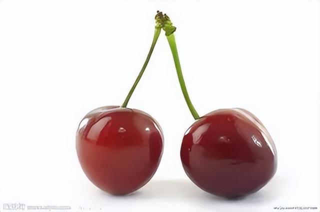 英文24种水果名称（史上超全水果英文名称汇总）(27)