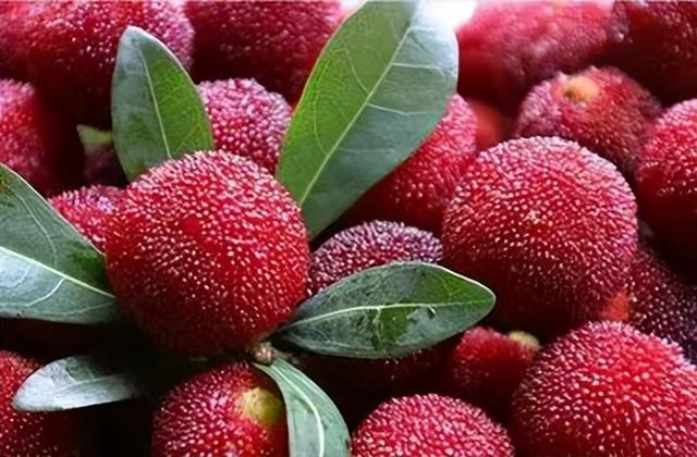 英文24种水果名称（史上超全水果英文名称汇总）(40)