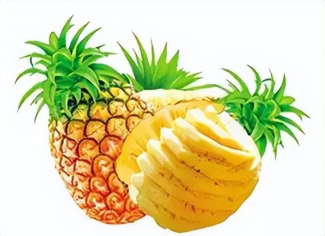 英文24种水果名称（史上超全水果英文名称汇总）(16)