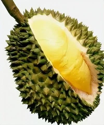 英文24种水果名称（史上超全水果英文名称汇总）(18)