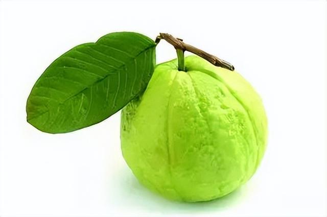 英文24种水果名称（史上超全水果英文名称汇总）(20)