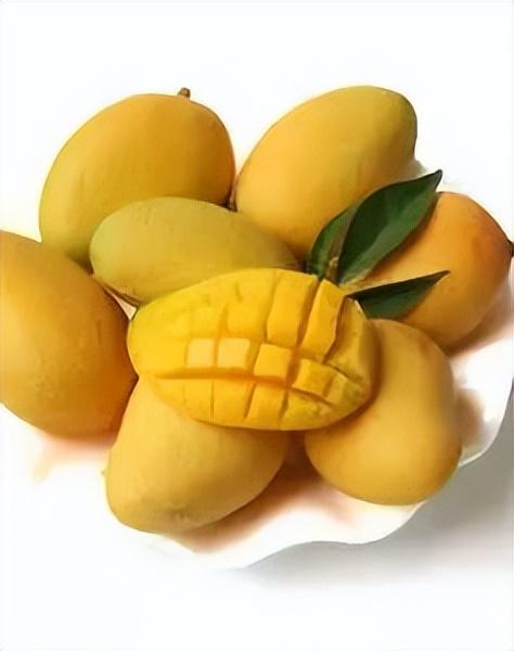 英文24种水果名称（史上超全水果英文名称汇总）(28)