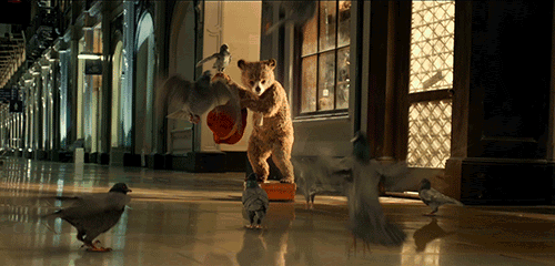 帕丁顿熊现状如何（帕丁顿熊在英国是神级存在）(37)