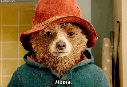 帕丁顿熊现状如何（帕丁顿熊在英国是神级存在）(49)