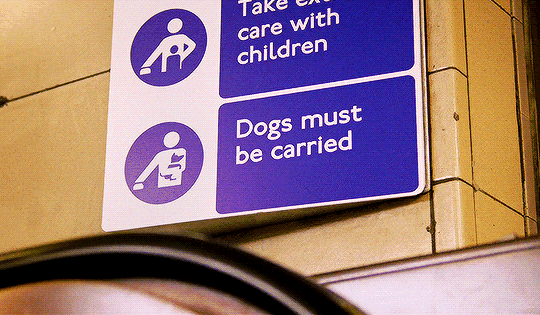 帕丁顿熊现状如何（帕丁顿熊在英国是神级存在）(41)