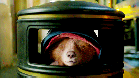 帕丁顿熊现状如何（帕丁顿熊在英国是神级存在）(11)