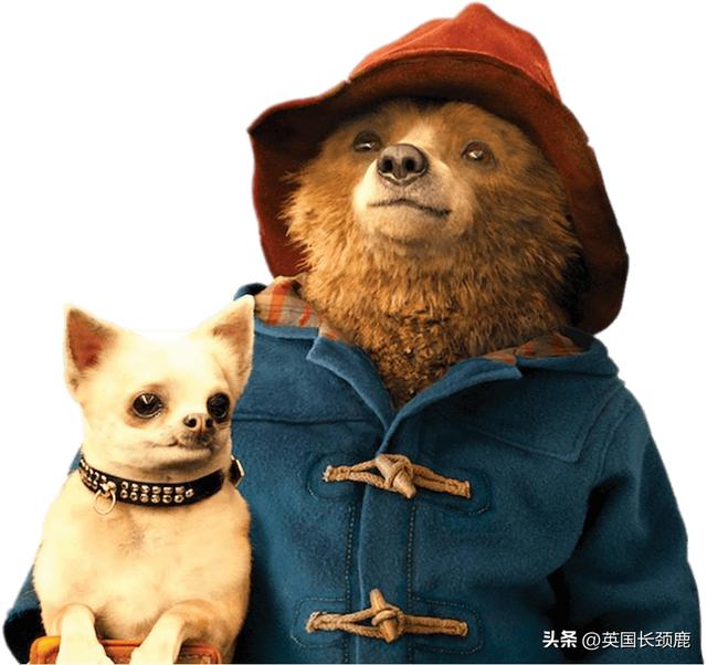 帕丁顿熊现状如何（帕丁顿熊在英国是神级存在）(12)