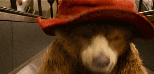 帕丁顿熊现状如何（帕丁顿熊在英国是神级存在）(42)